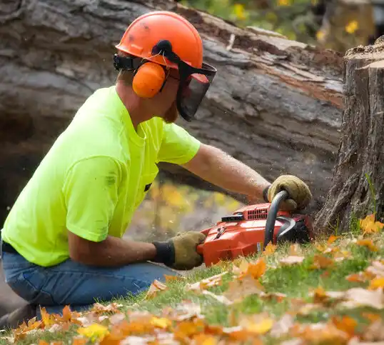 tree services Argentine